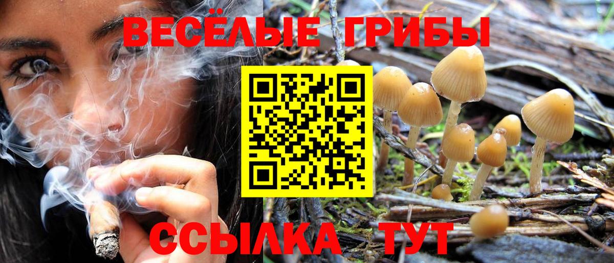 Псилоцибиновые грибы Psilocybe  Галлюциногенные грибы Psilocybine cubensis  Вход с VPN  купить закладку  Заводоуковск 